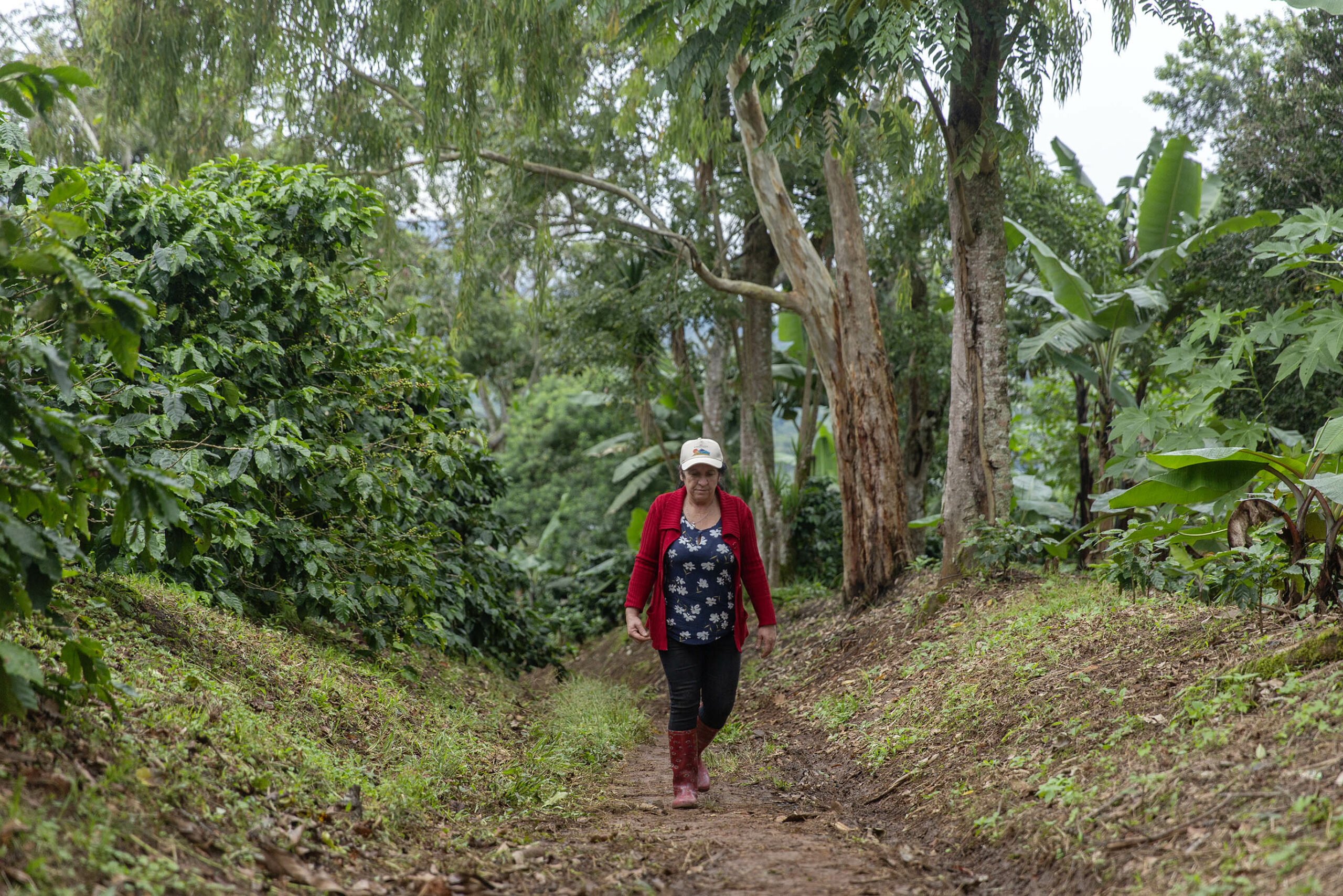 Lady farmer in Jinotega, part of the Soppexcca cooperative