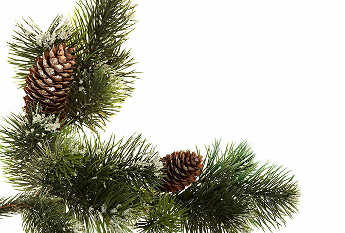 Spruce butter