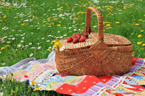 Picnic