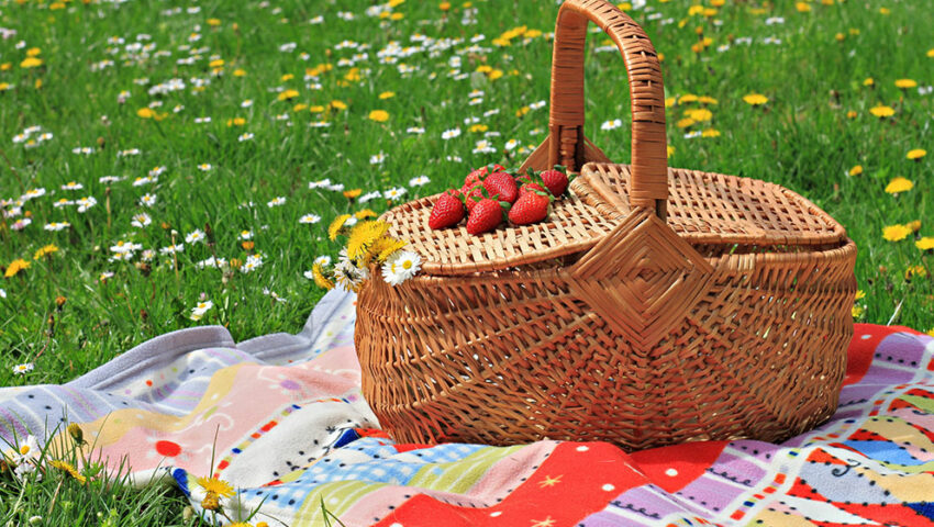 Picnic