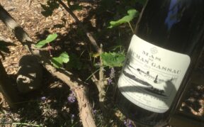 Languedoc
