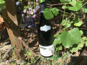 Beaujolais region