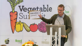 vegetables