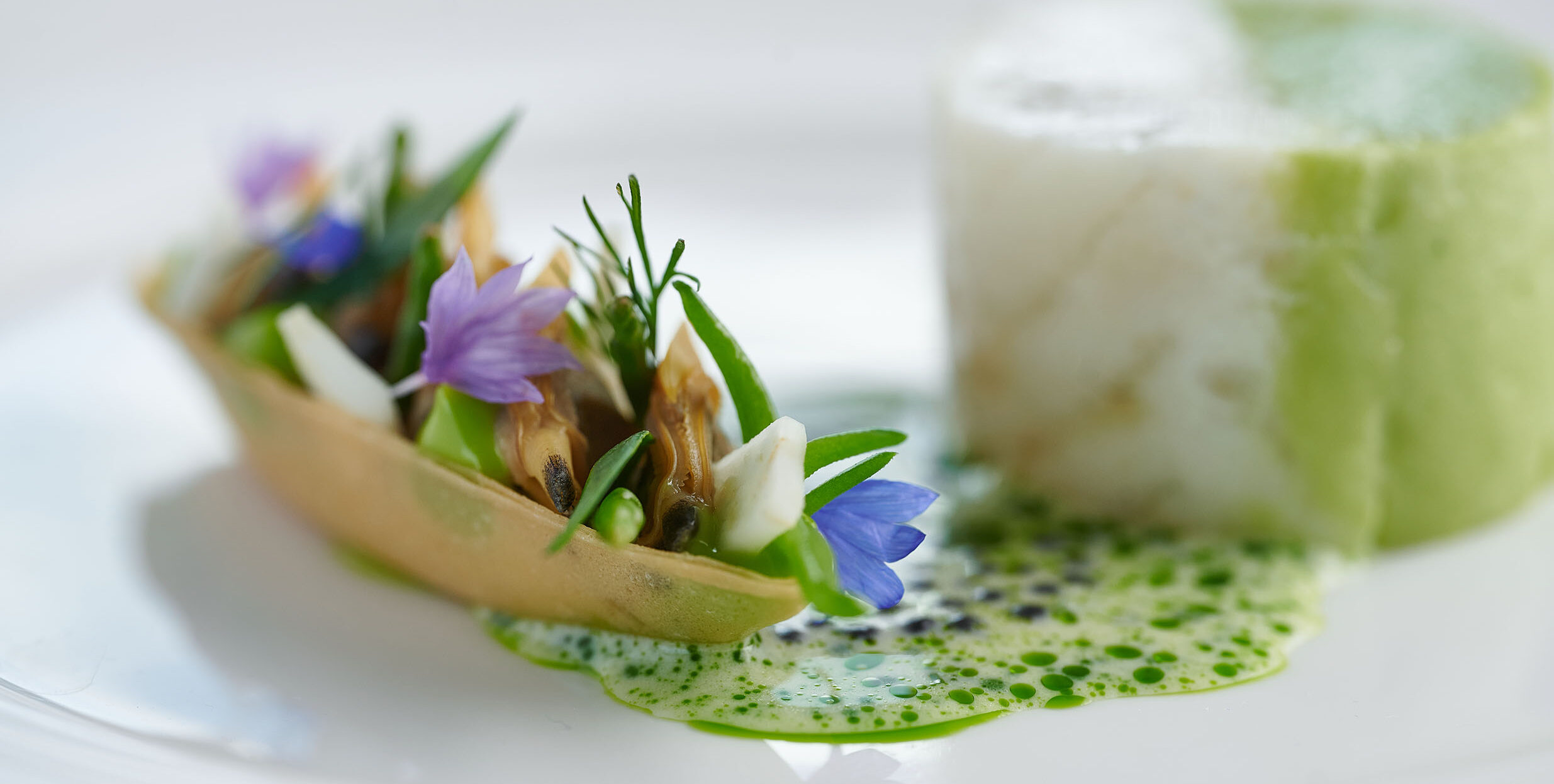 Sustainable plant based with fish dish