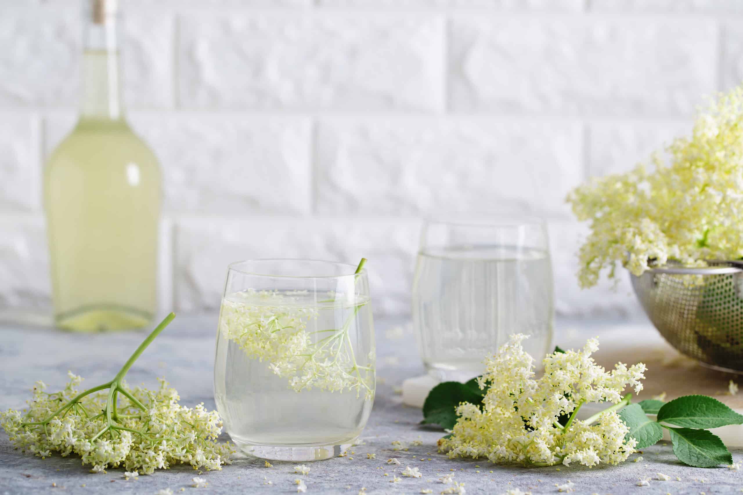 Elderflower Punch - BM | Independently Minded Contract Caterer