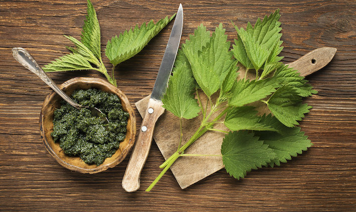 Nettle pesto