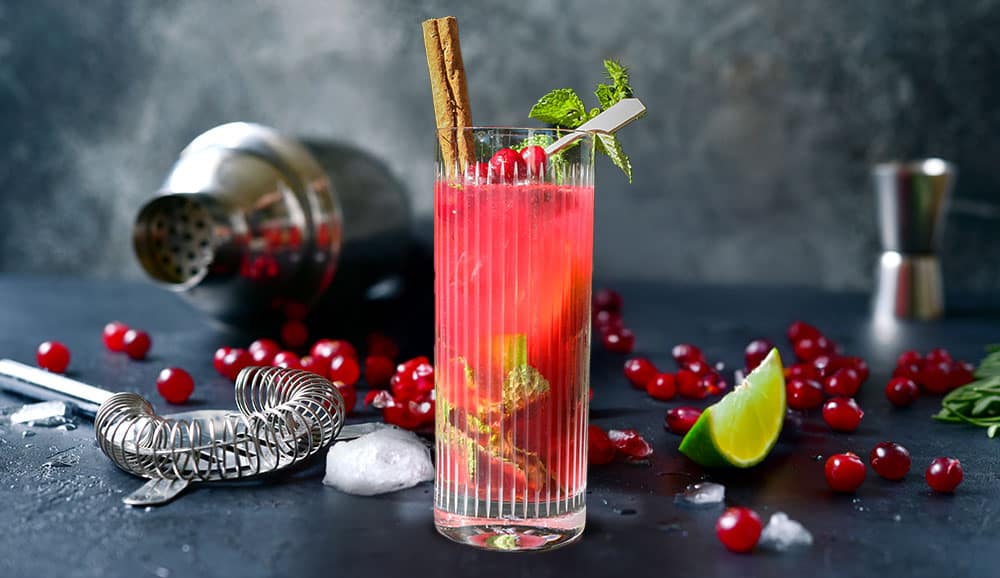 Cranberry & Cinnamon Christmas Mojito