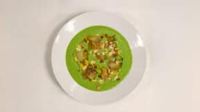 gazpacho